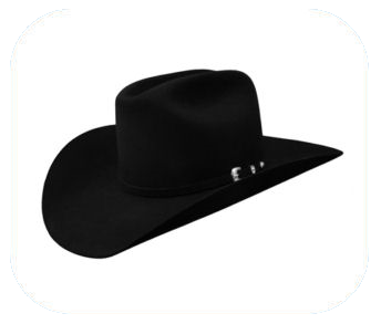 Black Hat SEO